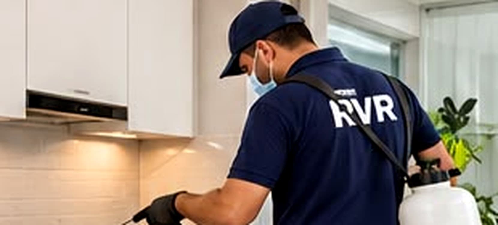 Clean kitchen interior — hygiene-focused pest care