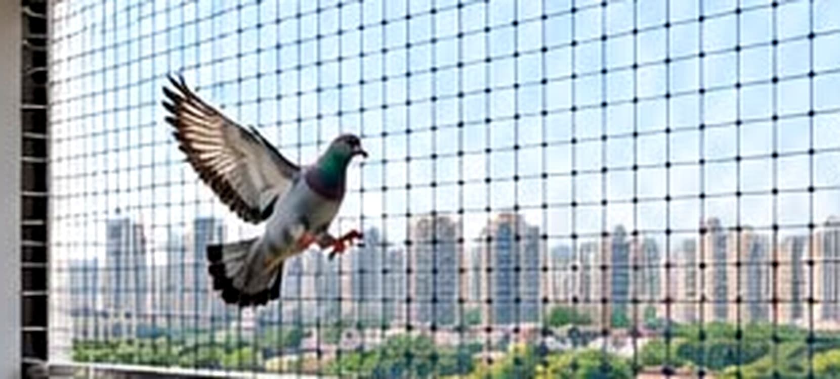 Balcony lifestyle — discreet bird protection