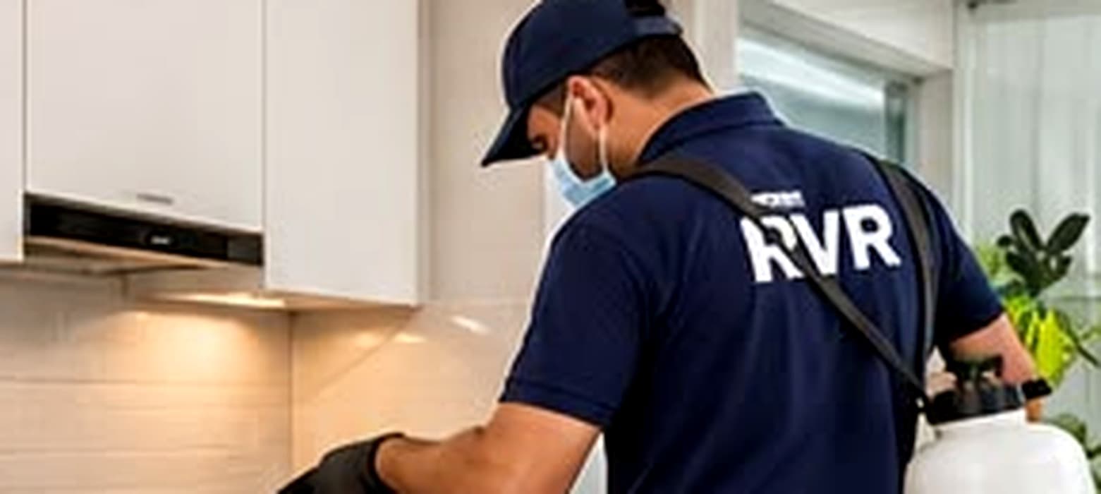 Tidy commercial space — practical rodent control